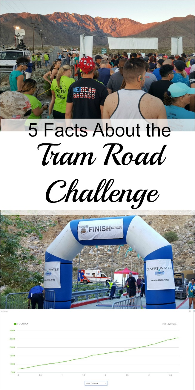 Climbing a Mountain 5 Tram Road Challenge Facts and other Cool Stuff