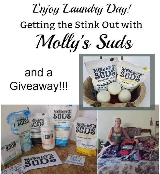 Molly's Suds Laundry Powder Unscented 70 Loads